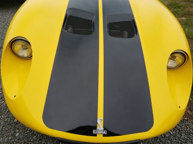 1965 Shelby Cobra Shelby Cobra - photo 7