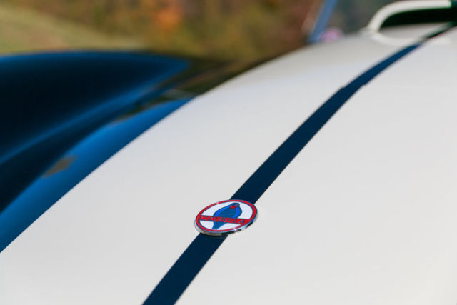 1965 Shelby Cobra CSX - photo 3