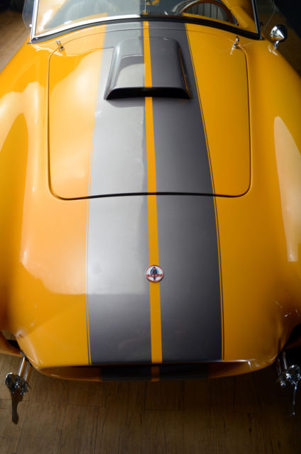 1965 Shelby Cobra Factory 5 Racing - photo 10