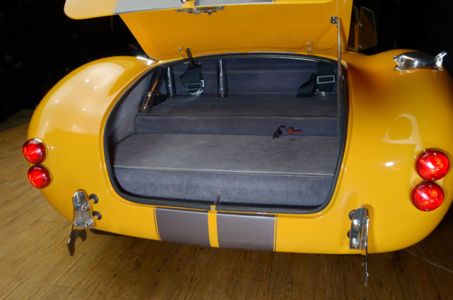 1965 Shelby Cobra Factory 5 Racing - photo 9