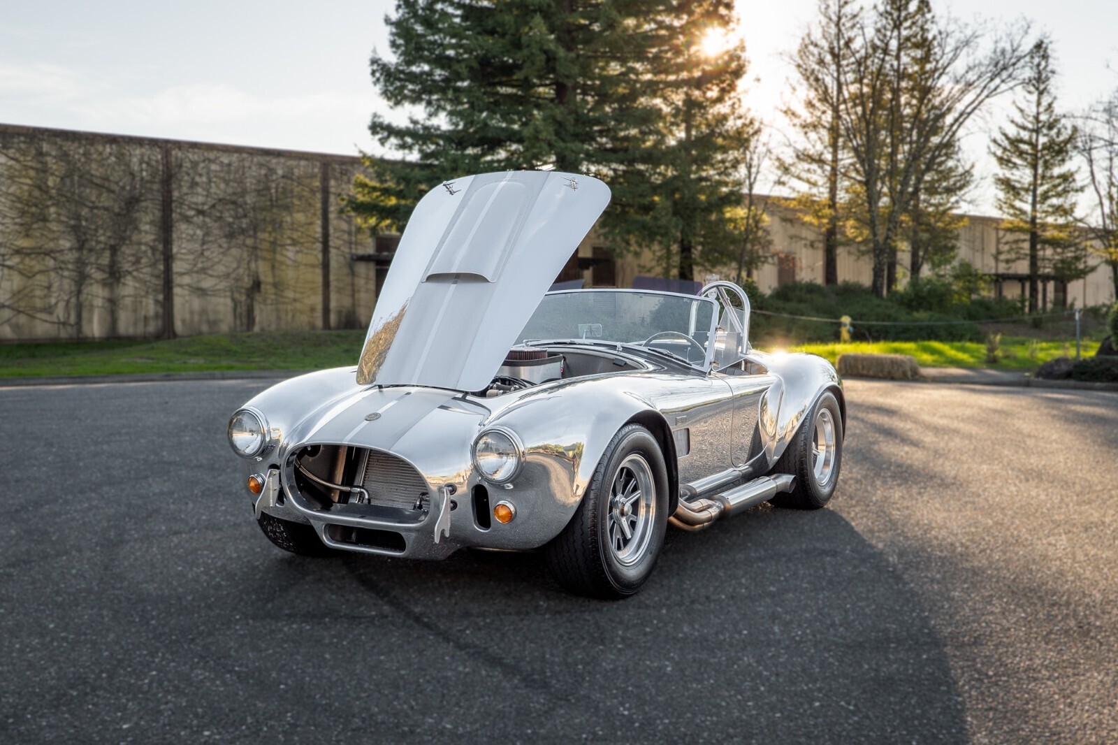 1965 Shelby CSX - photo 2