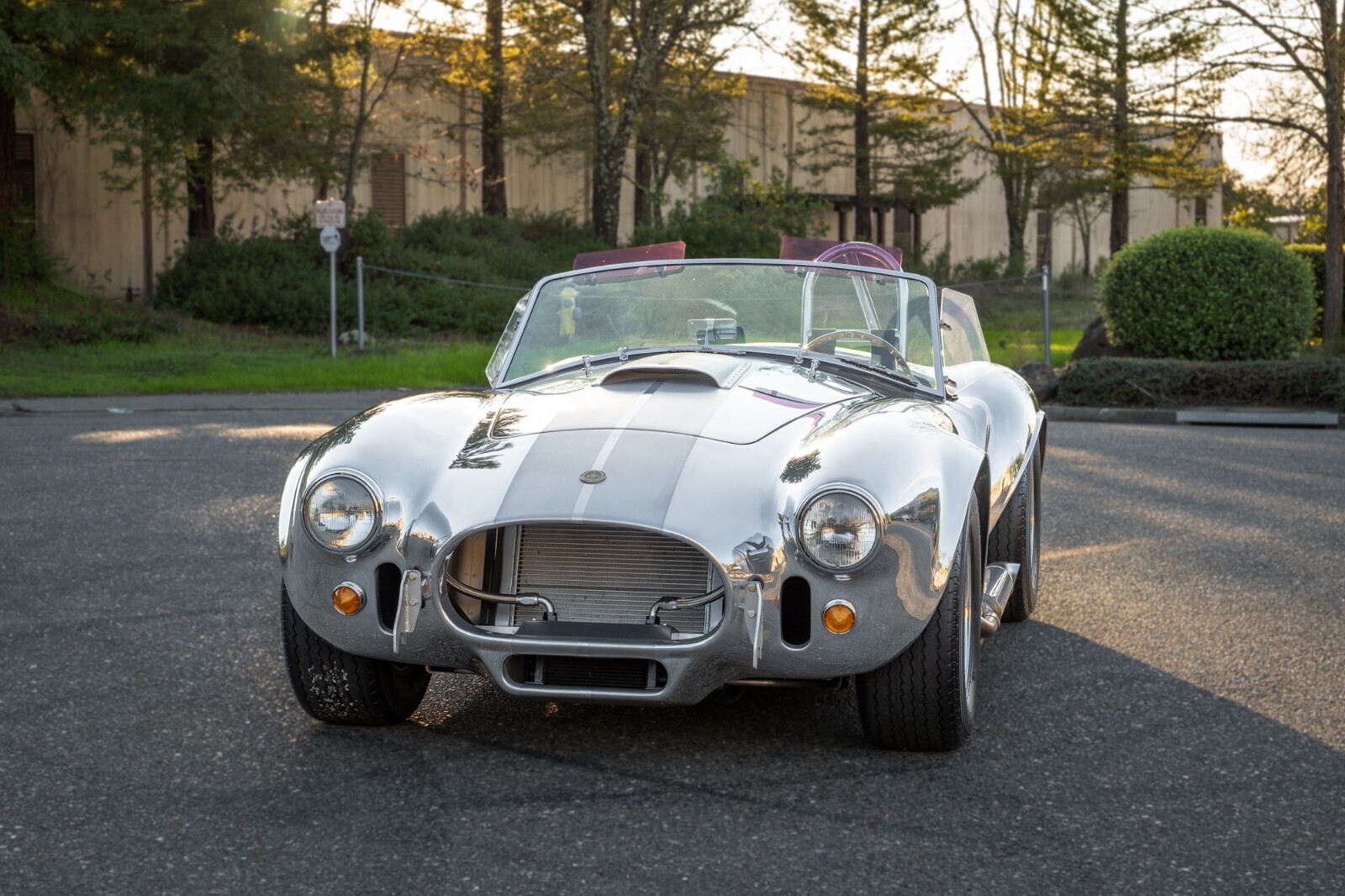1965 Shelby CSX - photo 5