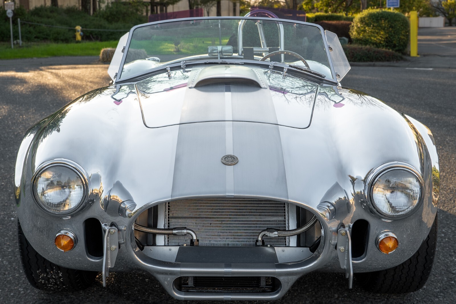 1965 Shelby CSX - photo 8