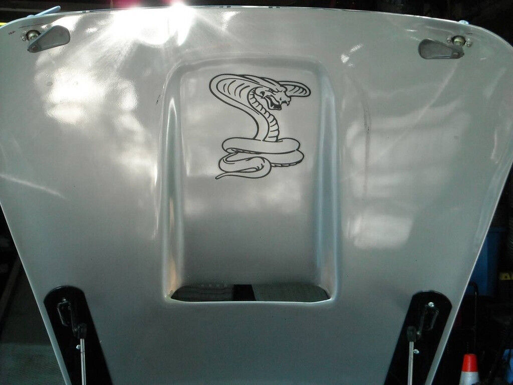 1965 Shelby Cobra S/C Replica - photo 11