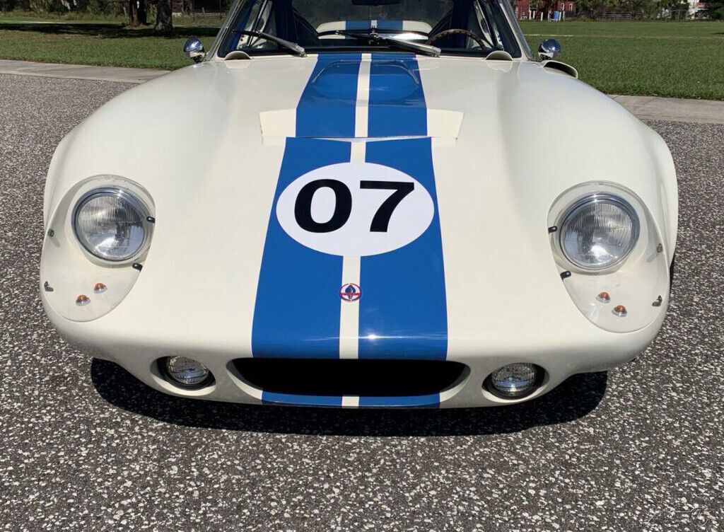 1965 Shelby Titled as 2010 - photo 11
