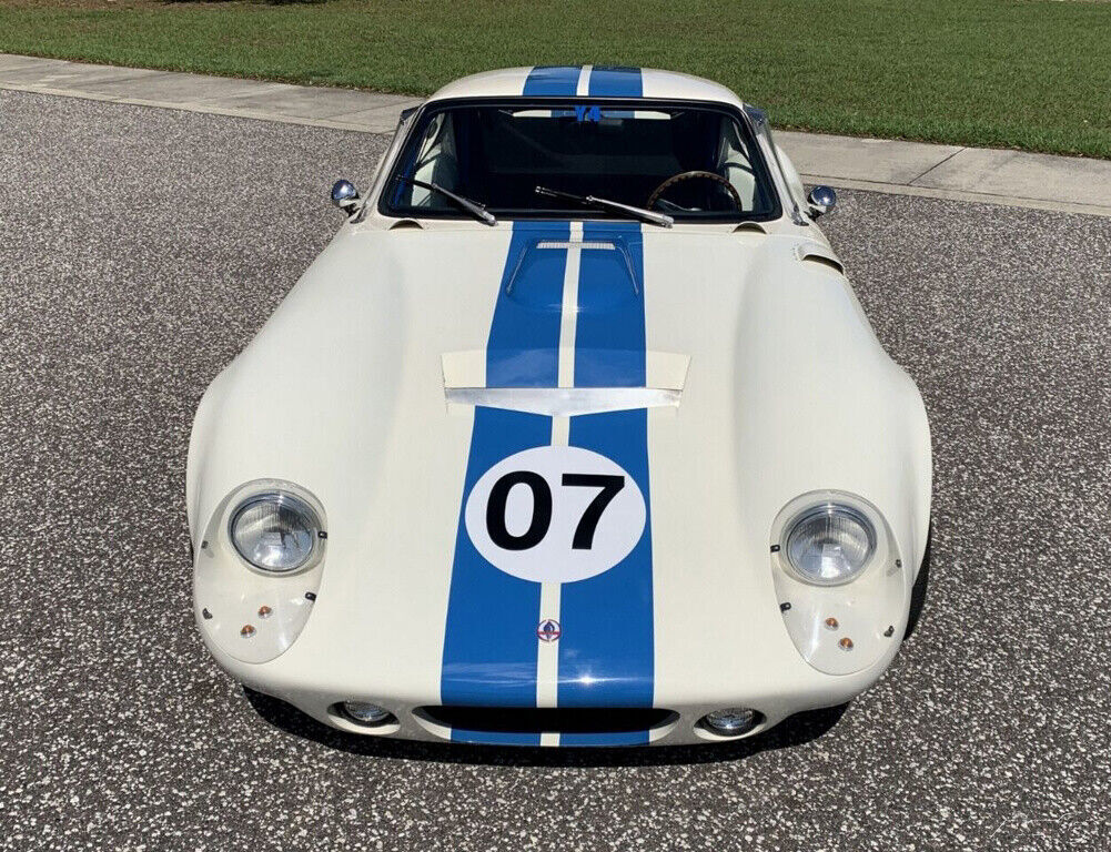 1965 Shelby Titled as 2010 - photo 9