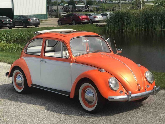 1965 Volkswagen Beetle-New -- - photo 2