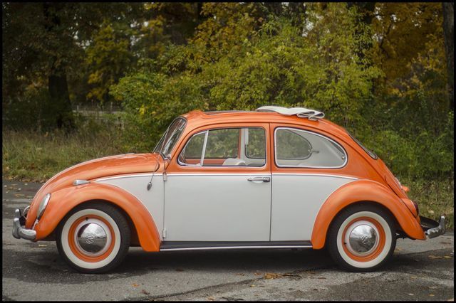 1965 Volkswagen Beetle-New -- - photo 13