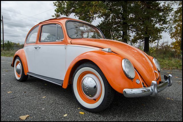 1965 Volkswagen Beetle-New -- - photo 2