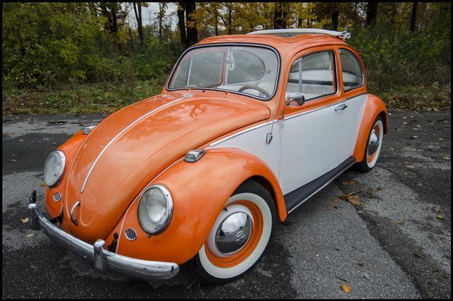 1965 Volkswagen Beetle-New -- - photo 9