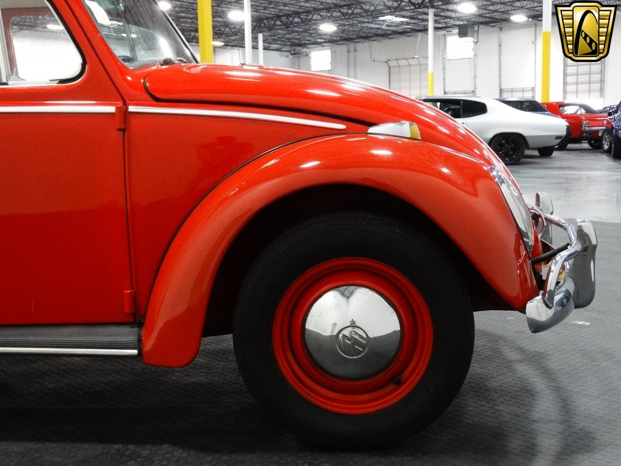 1965 Volkswagen Beetle-New - photo 12