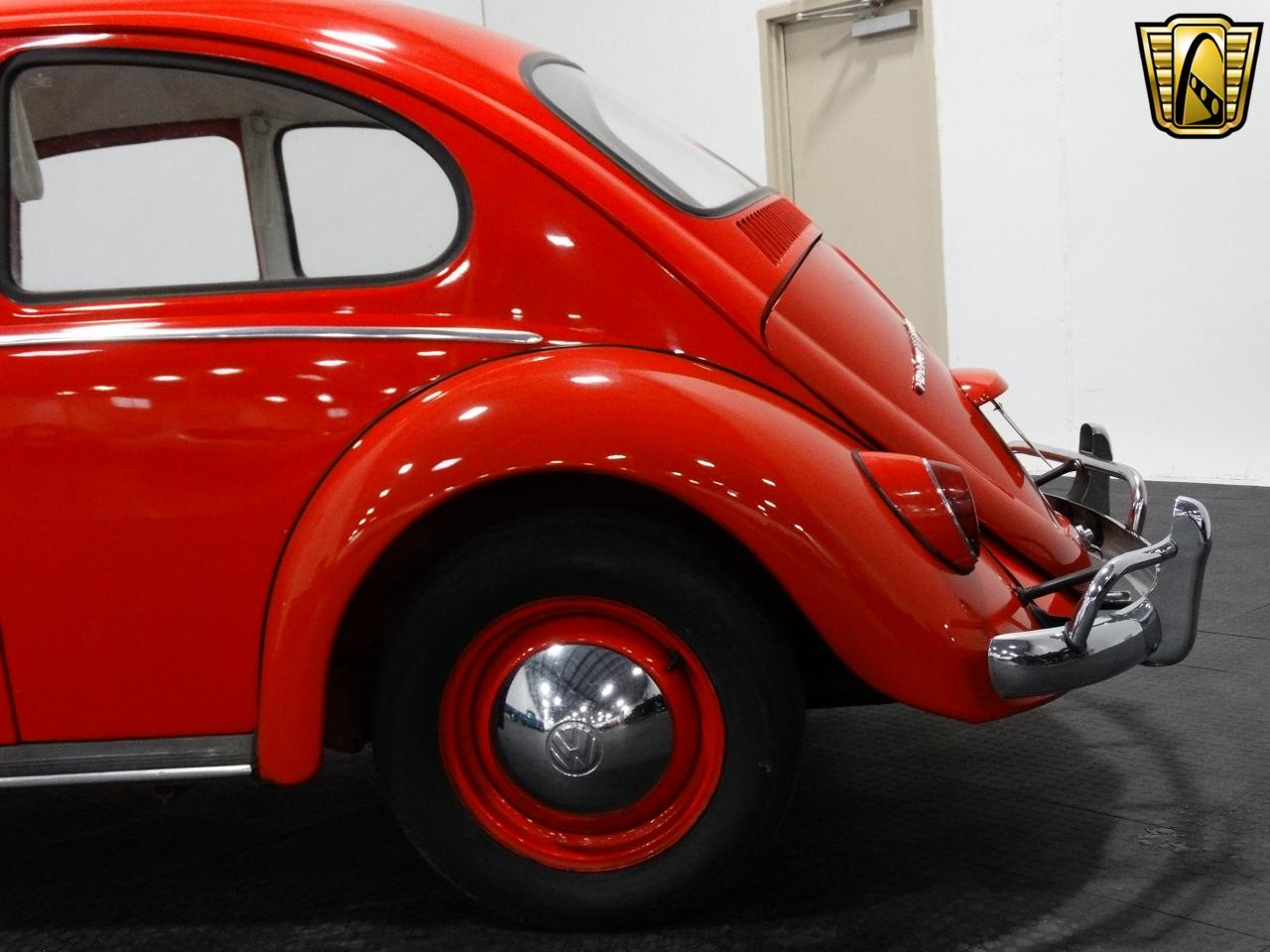 1965 Volkswagen Beetle-New - photo 3