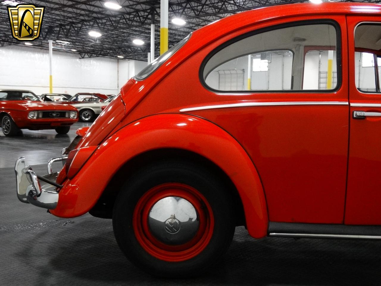 1965 Volkswagen Beetle-New - photo 6