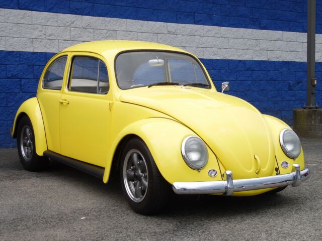 1965 Volkswagen Beetle - Classic -- - photo 5