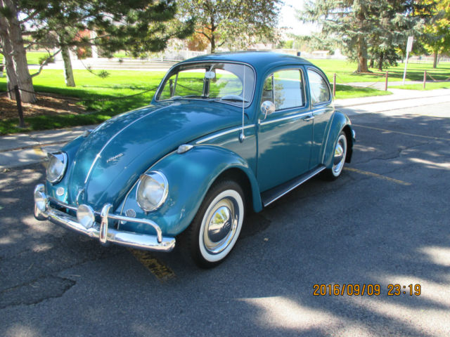 1965 Volkswagen Beetle / bug 1965 Volkswagen Beetle - Classic