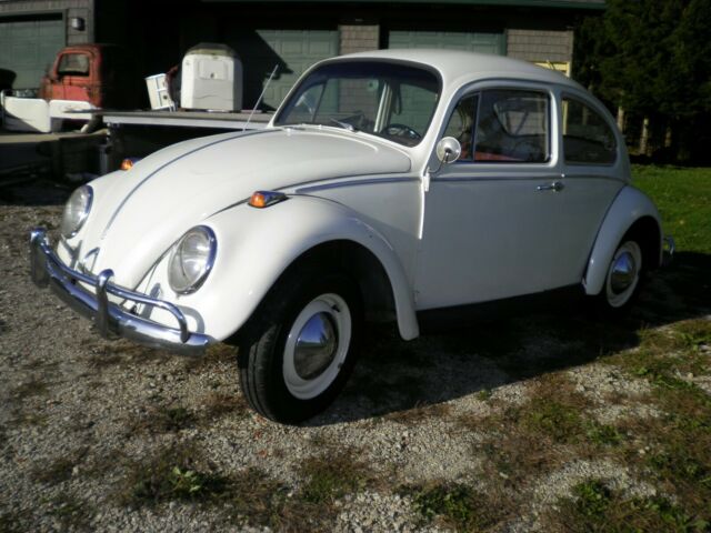 1965 Volkswagen Beetle Bug Rat Rod Hot Rod Buggy Project Street Rod VW 1500cc 1965 Volkswagen Beetle - Classic