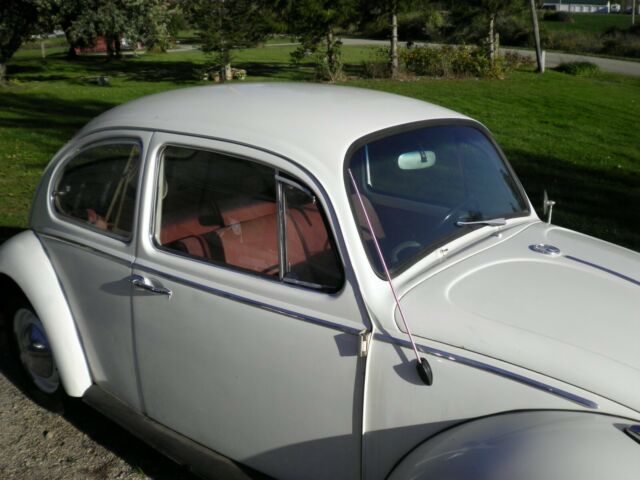 1965 Volkswagen Beetle - Classic - photo 3