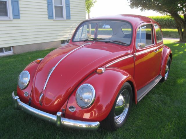 1965 Volkswagen Beetle - Classic 2 Door Coupe - photo 2
