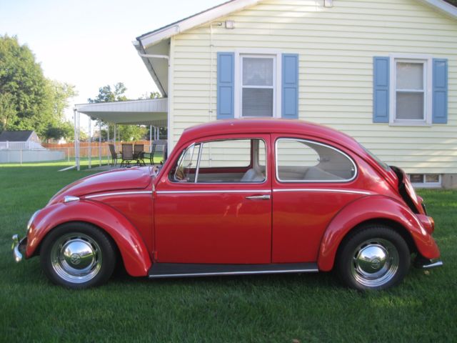 1965 Volkswagen Beetle - Classic 2 Door Coupe - photo 3