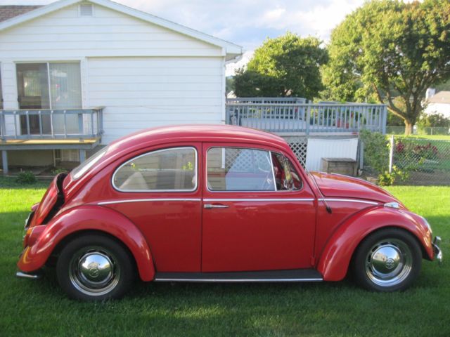 1965 Volkswagen Beetle - Classic 2 Door Coupe - photo 8
