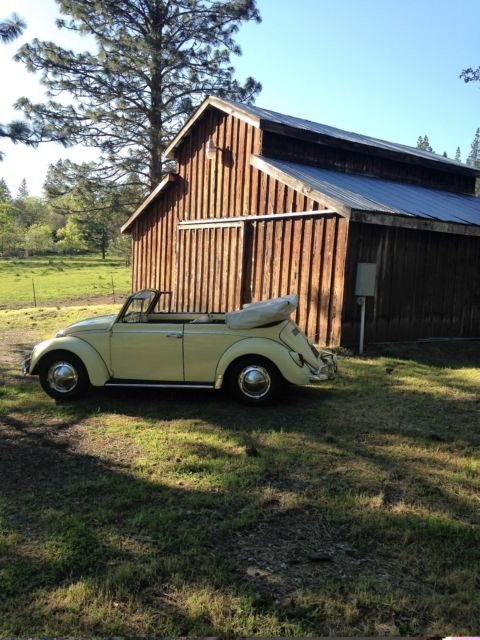 1965 Volkswagen Beetle - Classic - photo 10