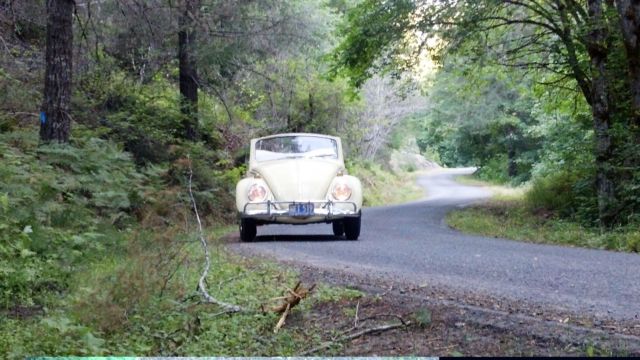 1965 Volkswagen Beetle - Classic - photo 6