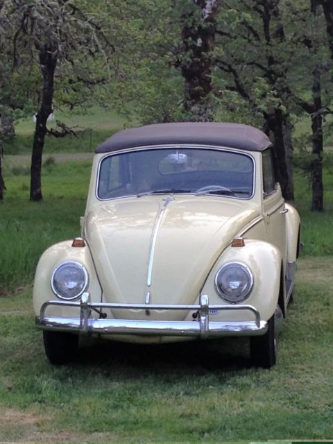 1965 Volkswagen Beetle - Classic - photo 7