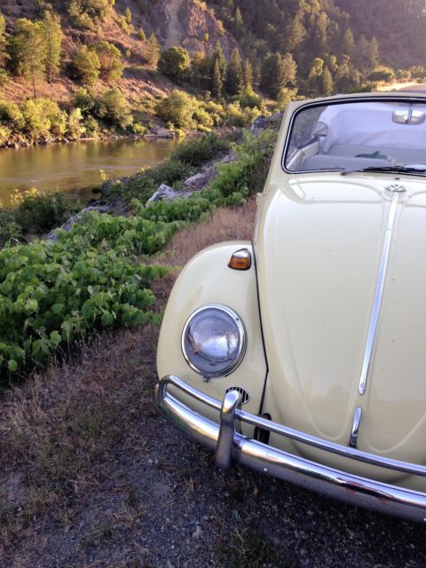 1965 Volkswagen Beetle - Classic - photo 8