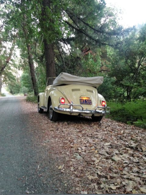 1965 Volkswagen Beetle - Classic - photo 9