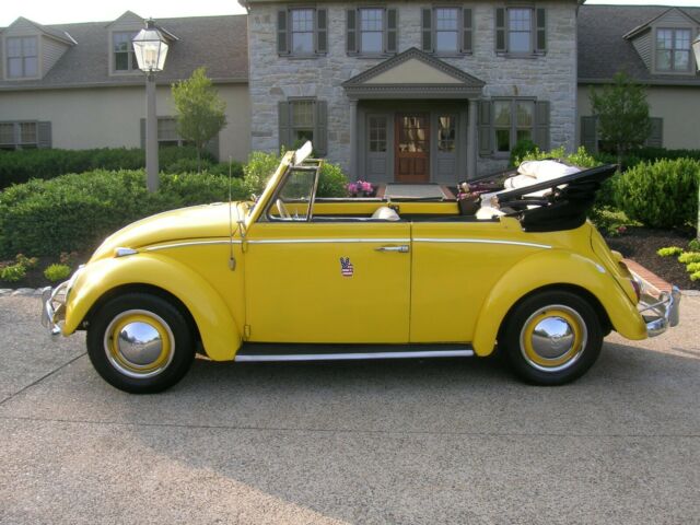 1965 Volkswagen Beetle - Classic Beetle convertible - photo 2