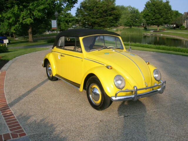 1965 Volkswagen Beetle - Classic Beetle convertible - photo 3