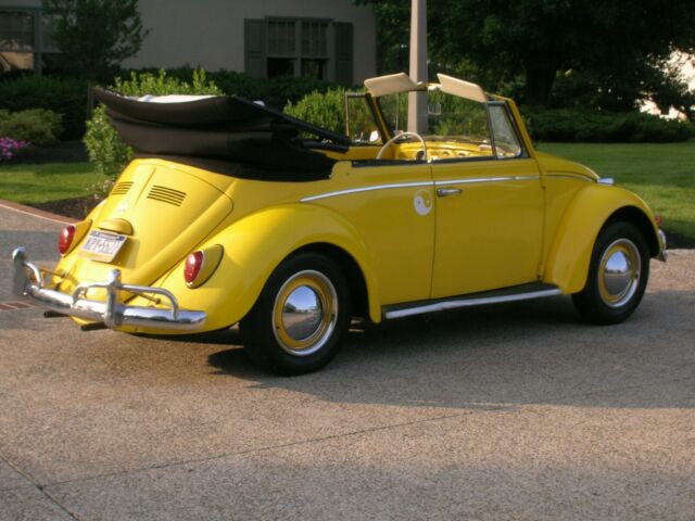 1965 Volkswagen Beetle - Classic Beetle convertible - photo 4