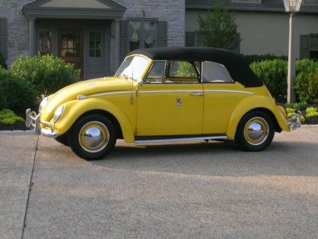 1965 Volkswagen Beetle - Classic Beetle convertible - photo 5