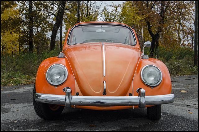 1965 Volkswagen Beetle-New -- - photo 11