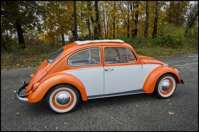 1965 Volkswagen Beetle-New -- - photo 3