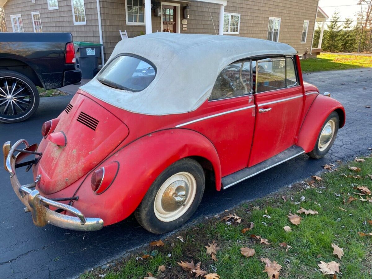 1965 Volkswagen Beetle (Pre-1980) - photo 4