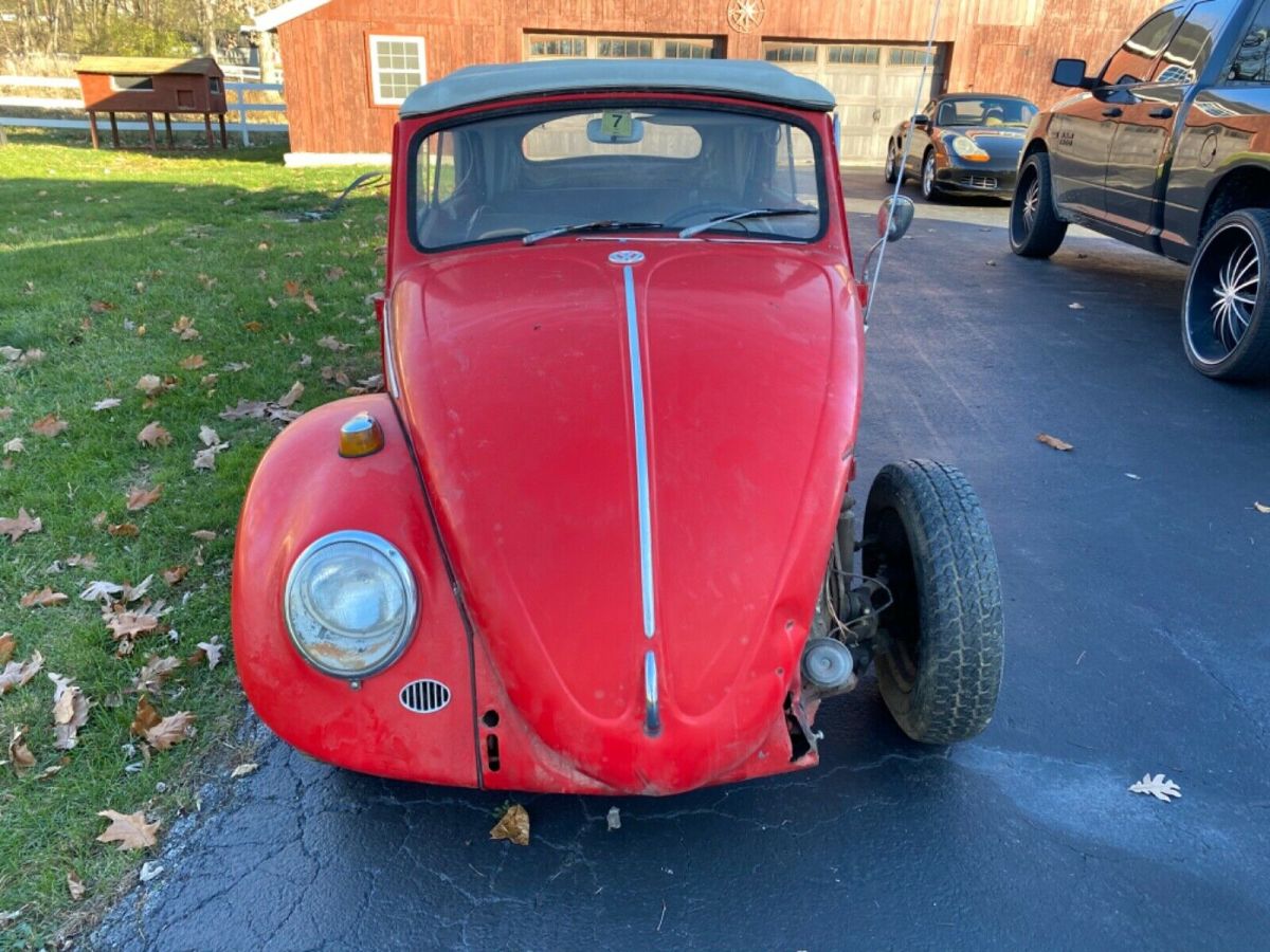 1965 Volkswagen Beetle (Pre-1980) - photo 9