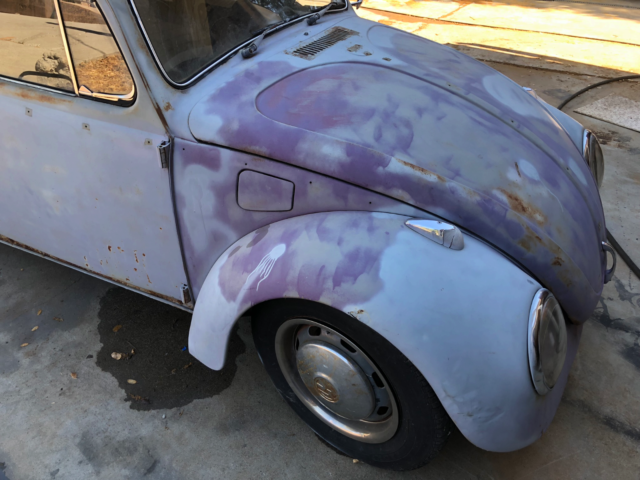 1965 Volkswagen Beetle - Classic - photo 3