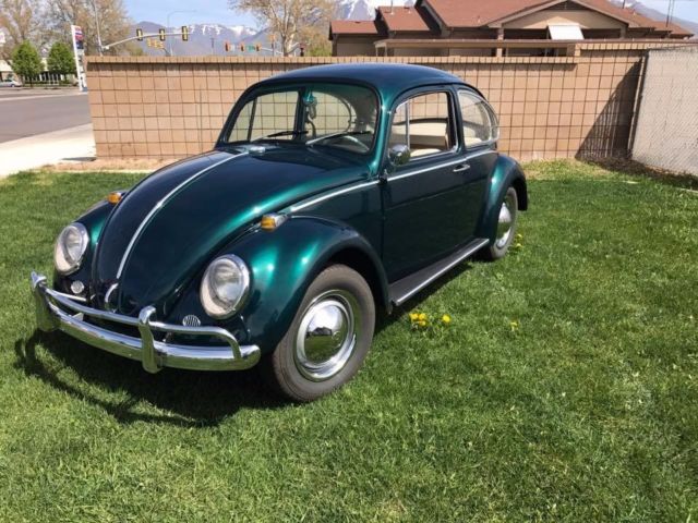 1965 Volkswagen Beetle VW BUG one owner 1965 Volkswagen Beetle - Classic