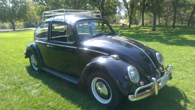 1965 Volkswagen Bug 1965 Volkswagen Beetle - Classic Bug