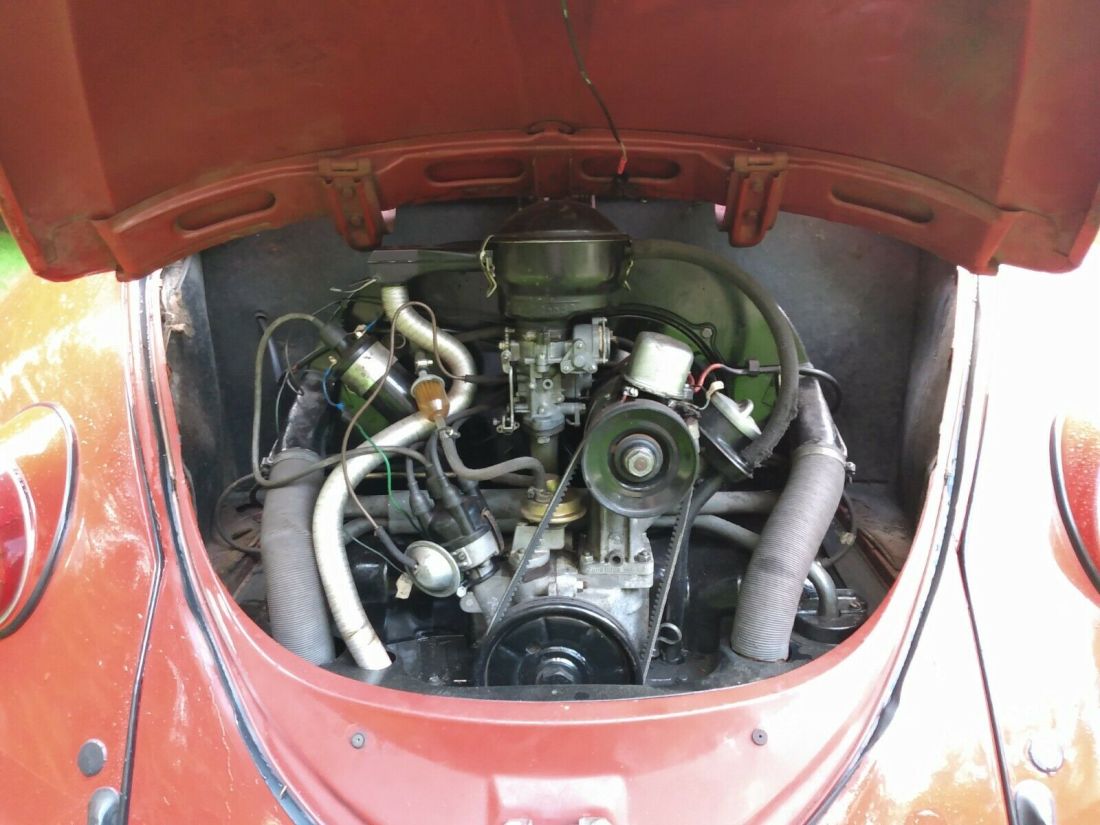 1965 Volkswagen Beetle - Classic - photo 4