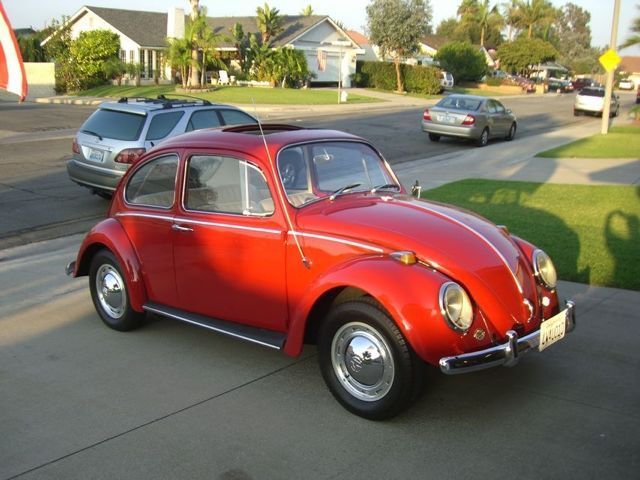 1965 Volkswagen Beetle - Classic Two-Door - photo 3
