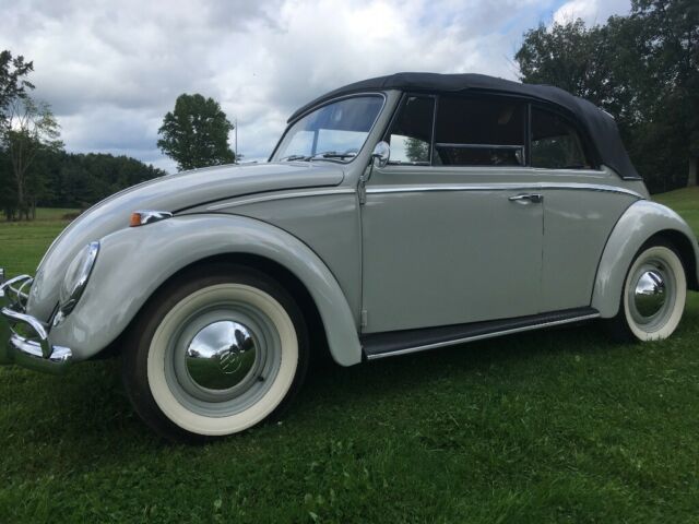 1965 Volkswagen Beetle - Classic - photo 4