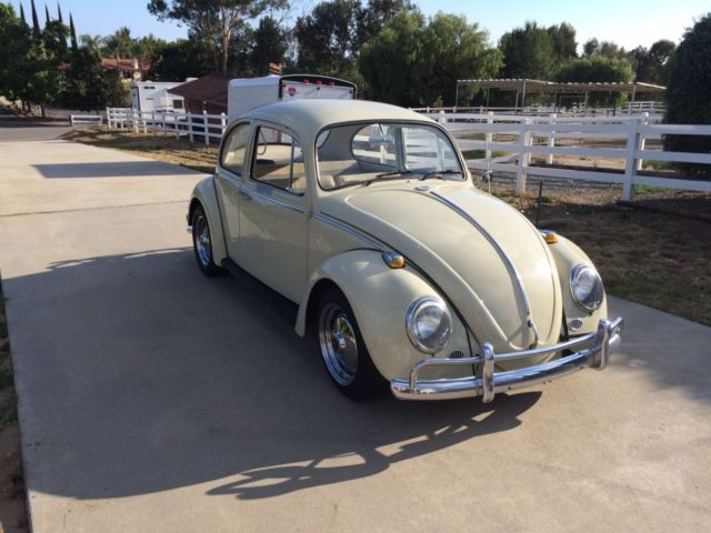 1965 Volkswagen Beetle - Classic - photo 3