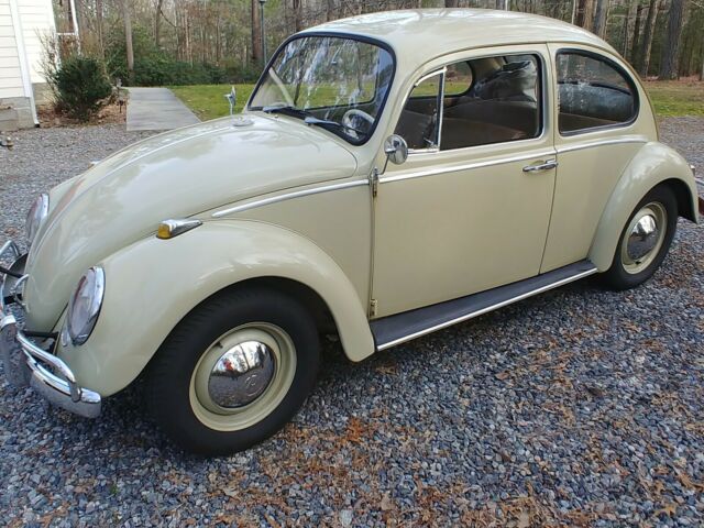 1965 Volkswagen Beetle - Classic