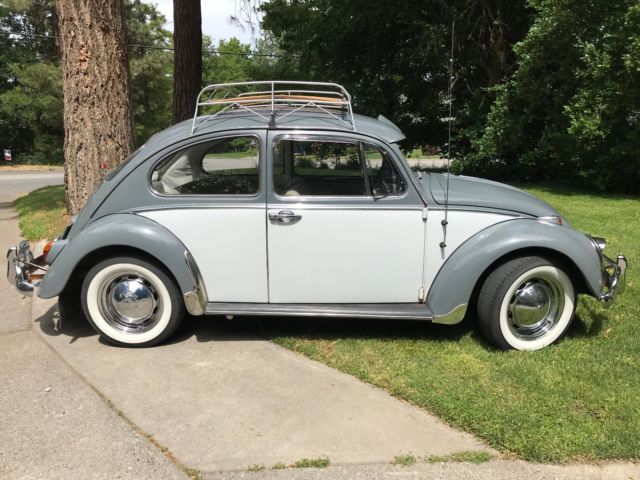 1965 VW Beetle Bug Volkswagen 1965 Volkswagen Beetle - Classic