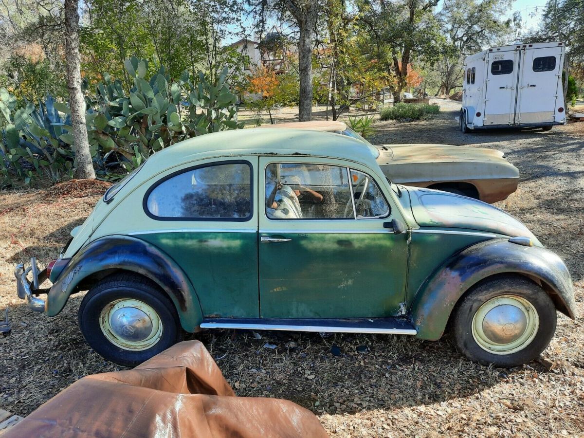 1965 VW Beetle Cheapest Bug on E-Bay! CA title eligible, Needs metal work, Rusty 1965 Volkswagen Beetle - Classic