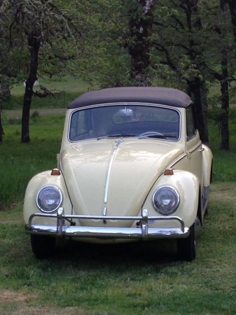 1965 Volkswagen Beetle - Classic - photo 10