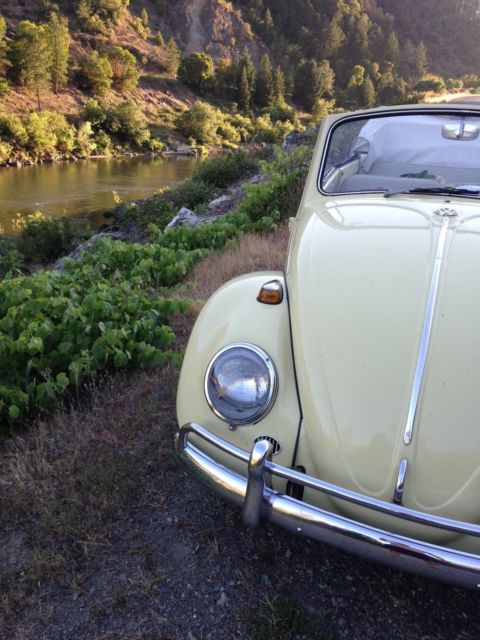 1965 Volkswagen Beetle - Classic - photo 5