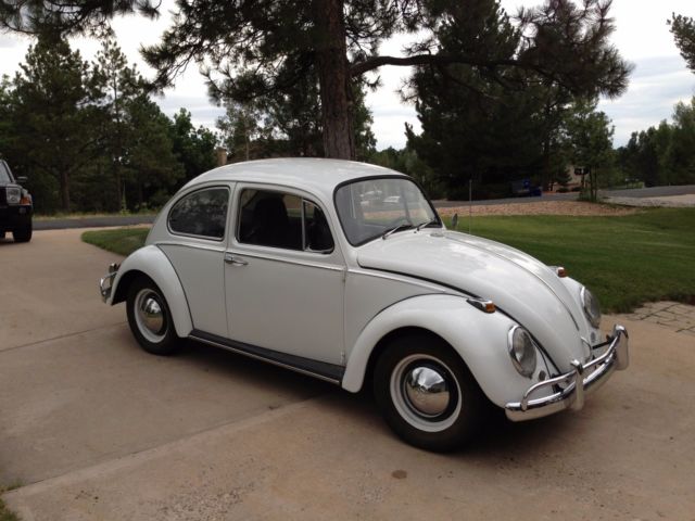 1965 Volkswagen Beetle - Classic - photo 2
